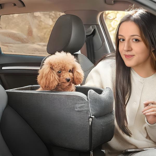 Pet Car Console Booster Seat